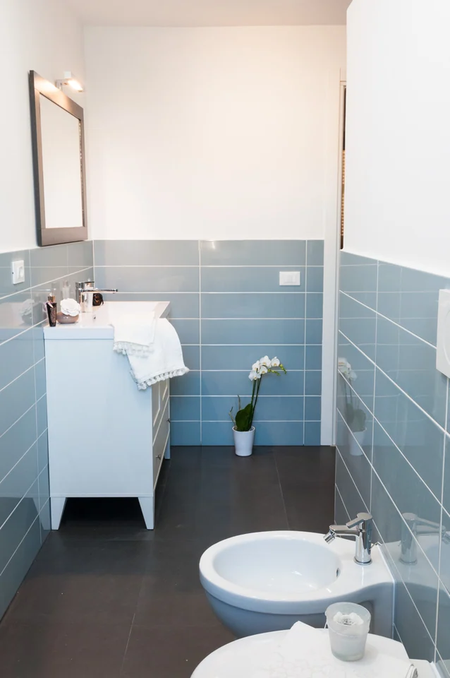 Second bathroom in Milky Way