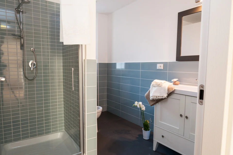 Shower in the second bathroom of Milky Way