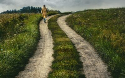 Eccitante Avventura nell’Orienteering Italiano: Terracina, Campo Soriano, Trail Orienteering e Altri Eventi Imperdibili – Exciting Adventure in Italian Orienteering: Terracina, Campo Soriano